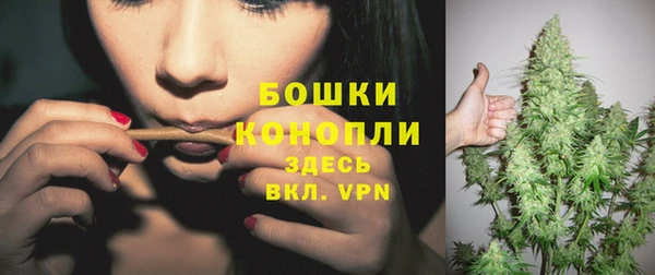 молекула духа Белоозёрский