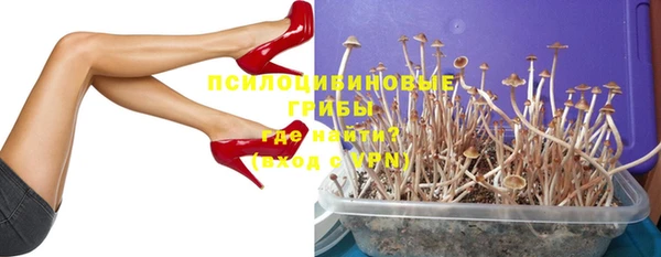 меф Богородицк