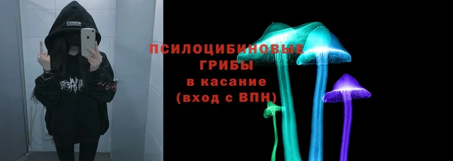 МДПВ Богданович