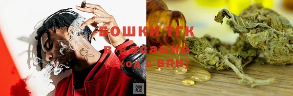 МДПВ Богданович