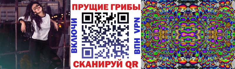 Купить где  Красный Кут  Псилоцибиновые грибы MAGIC MUSHROOMS 